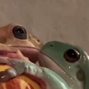 Meet your Posher, Celeste